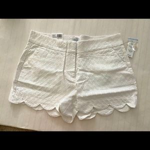 White scalloped NWT shorts size 8 •Crown & Ivy